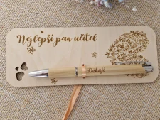 Pan učitel