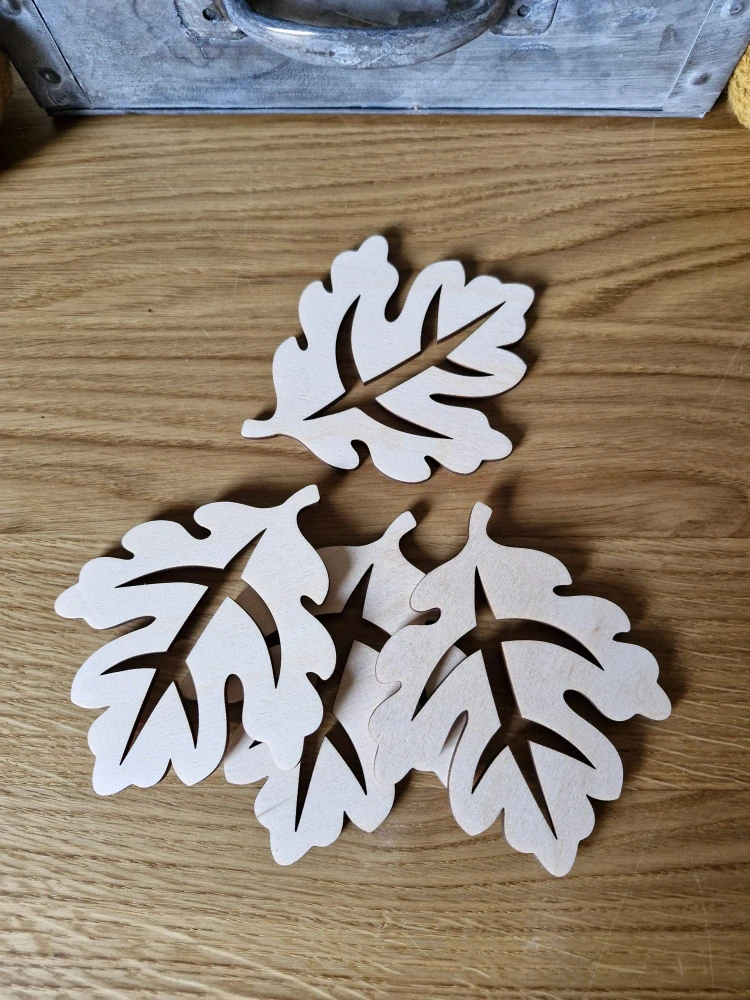 Podtácky lupínky sada 4ks