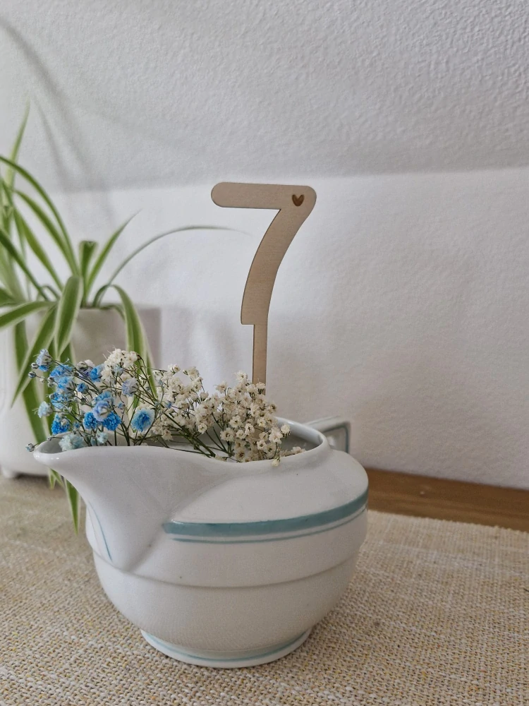 Zvířátka v dortu (sada)